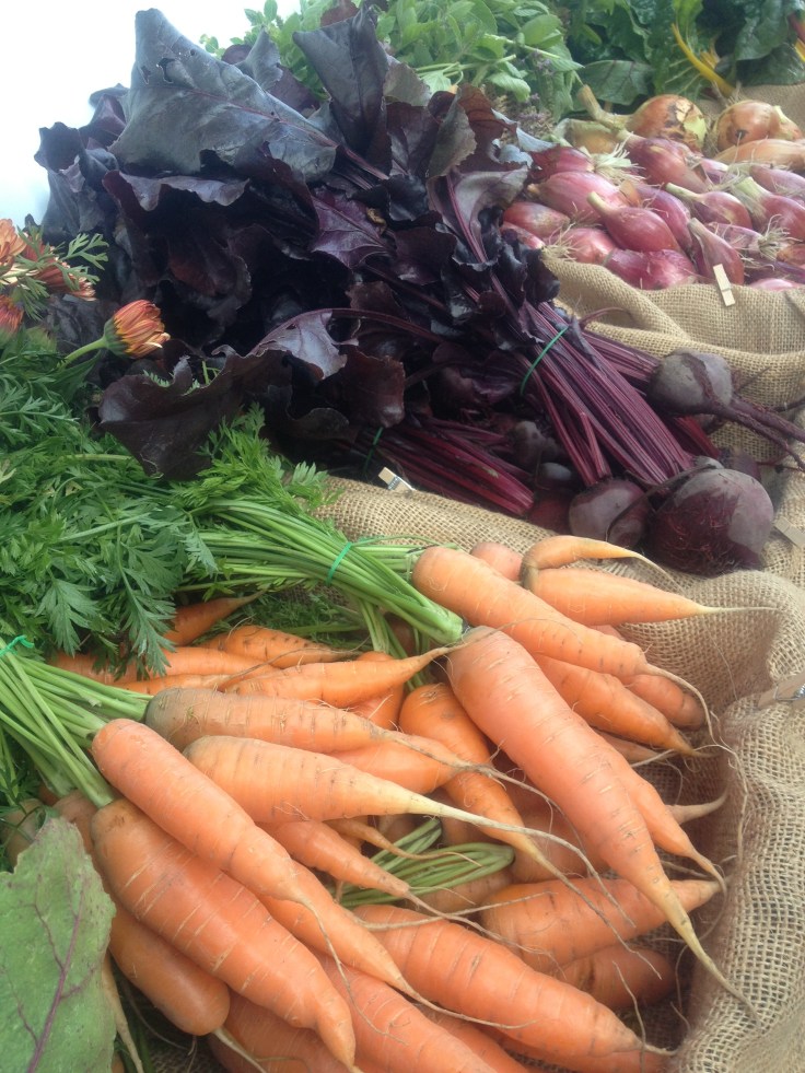 Introducing Montana Meals!