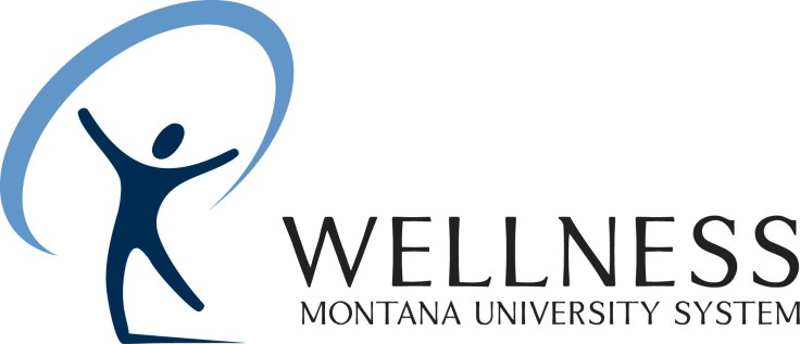 Mental Wellness Webinar