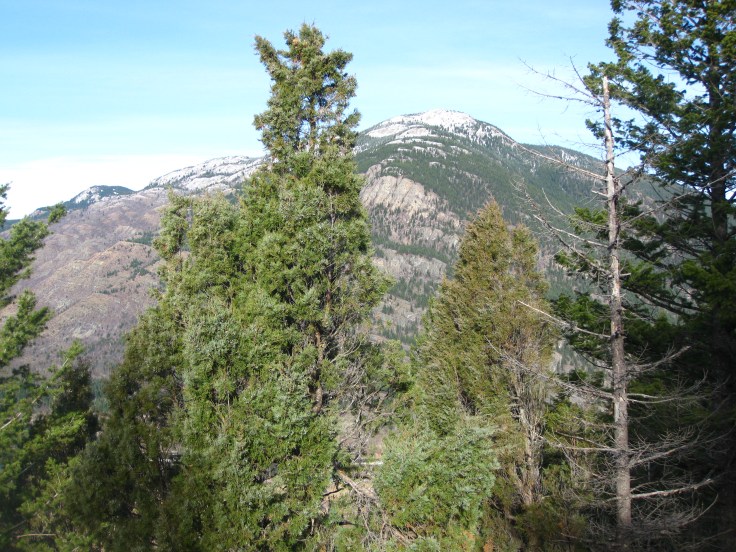 Looking north across the Flathead River valley.