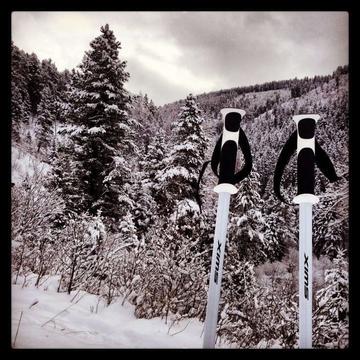 Learning a new skill, one cue at a time (aka…”Try new&nbsp;things”)