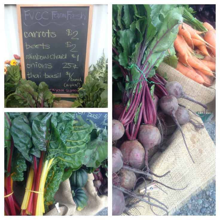 Fresh Montana Produce from our very own Flathead Valley CC Garden!  The carrots on the homepage are from FVCC as well.  Mmmmm.