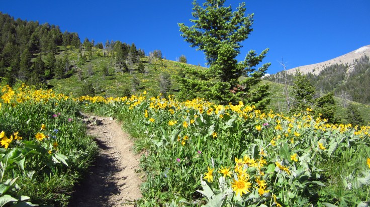 Where will the trail take you this month?