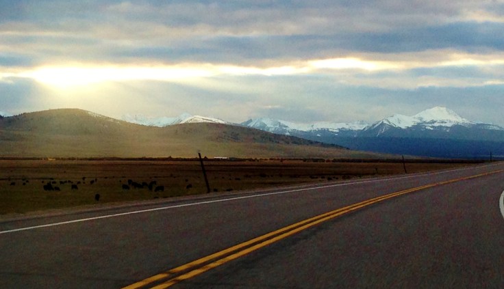 Wellness Road Warrior&nbsp;Report