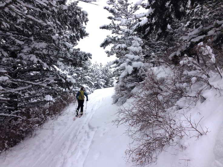 chesnut2 abbey feb 14