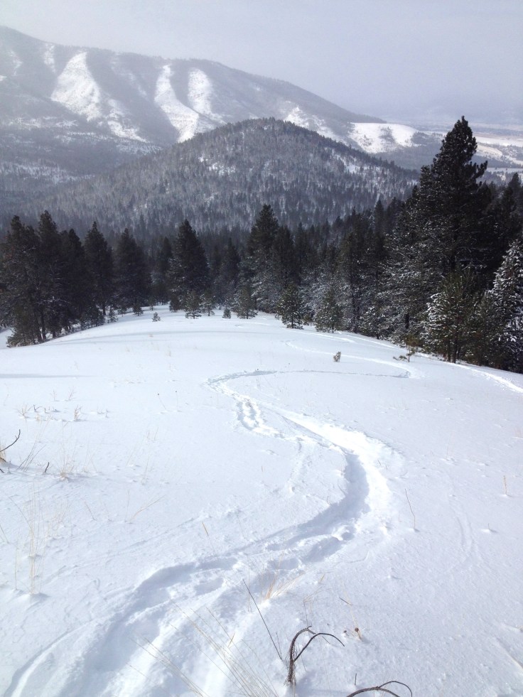 kathleen tarkalson feb 14