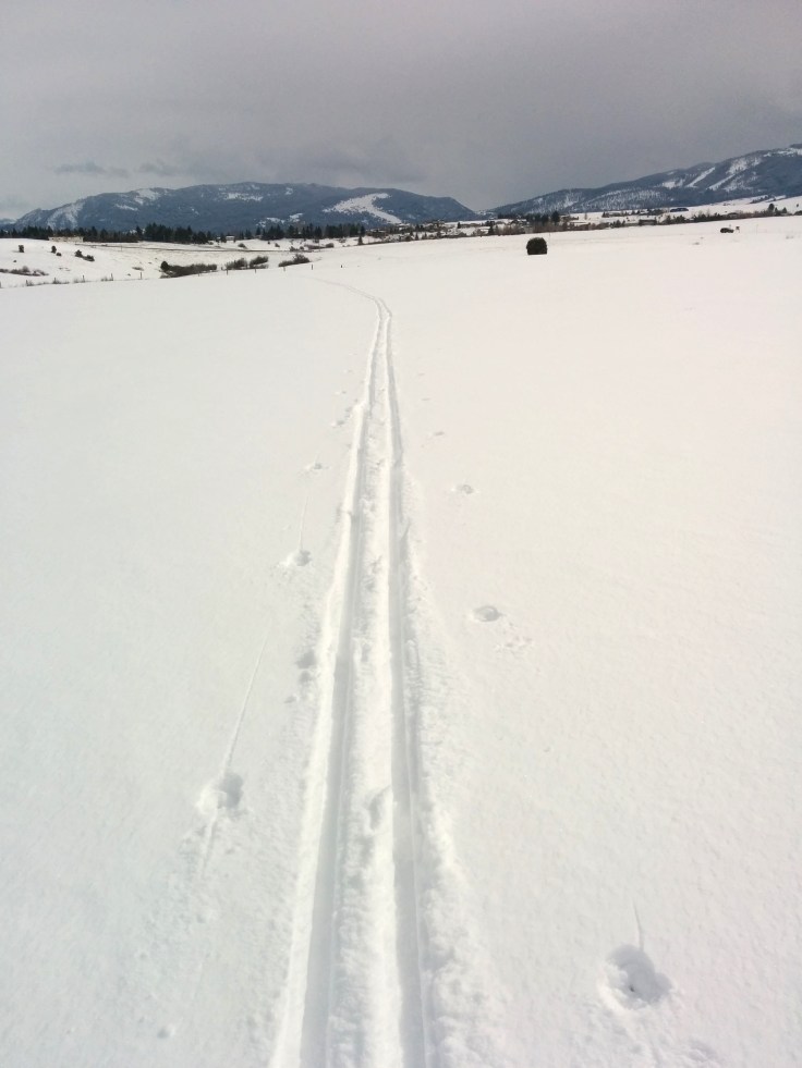 kristin harbuck feb 14