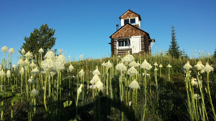 Challenge of the Month:&nbsp;December!