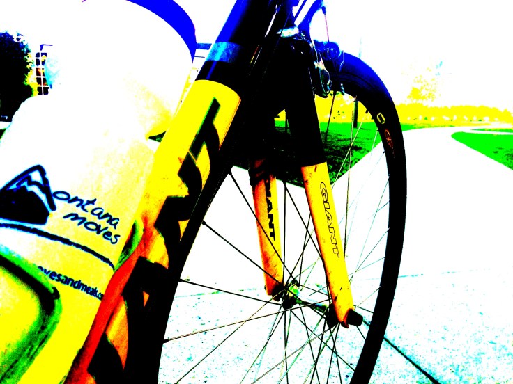 Bike to Work&nbsp;Week!