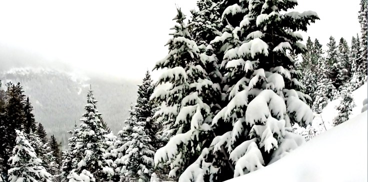 Training for Real&nbsp;Life