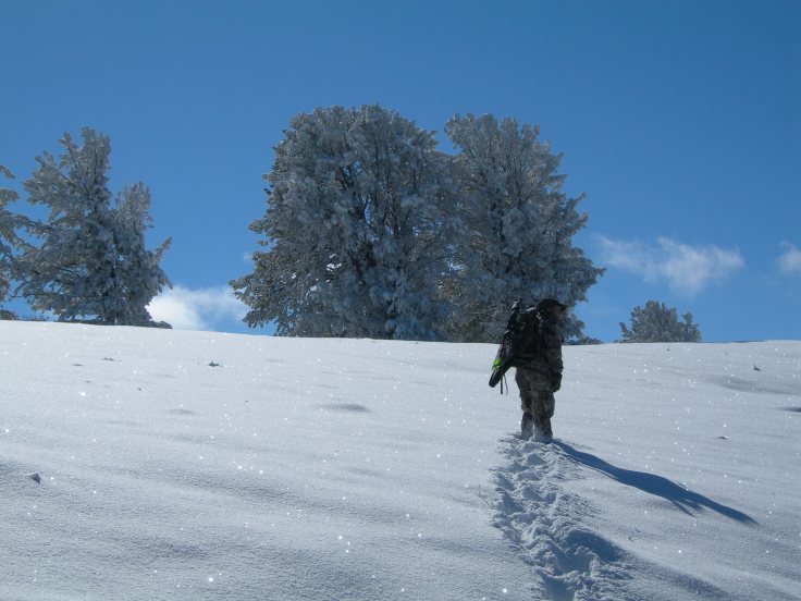 Challenge of the Month:&nbsp;February!