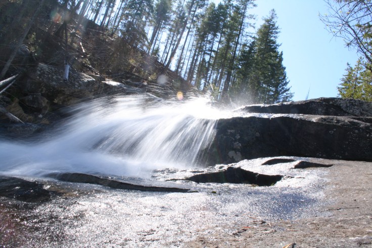 A Springtime Message…