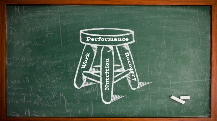 The 3-Legged Stool Model for Optimal&nbsp;Health