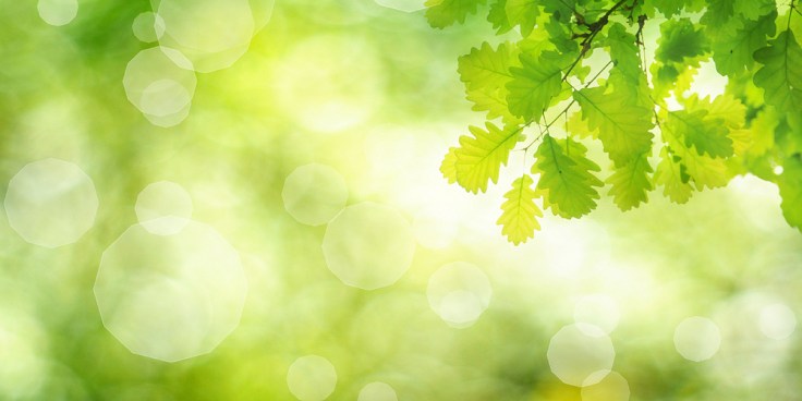 Spring[?] Workshops on the&nbsp;way.