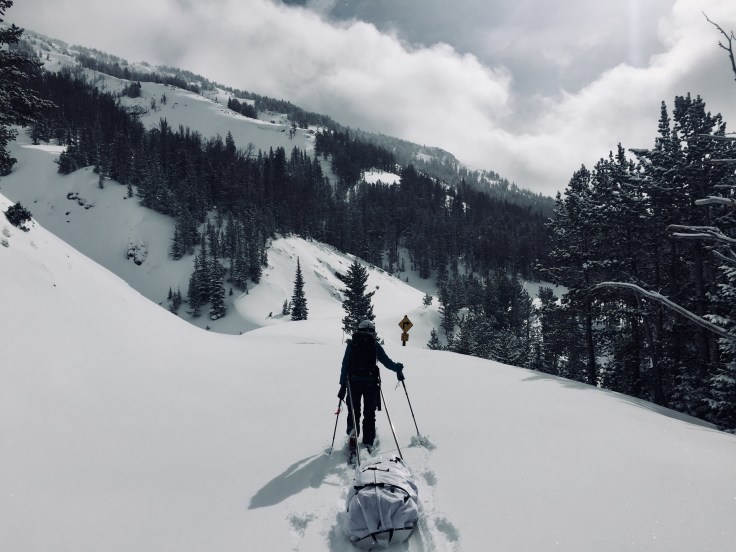 Wellchat Episode 12: Mountain Bear Expedition Part&nbsp;2