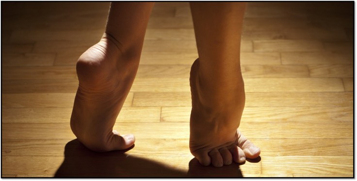 The Amazing Foot & Ankle&nbsp;Complex
