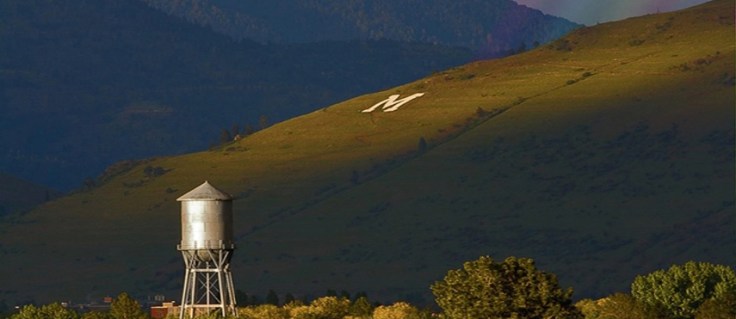 Seth’s Summer Series