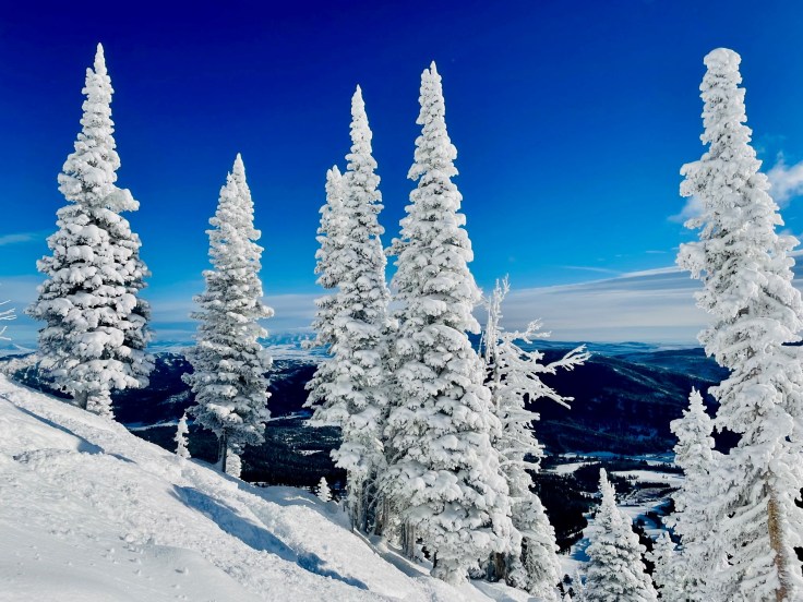 Staying Merry into the New&nbsp;Year